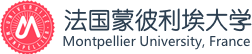 法國蒙彼利埃大學國際碩士